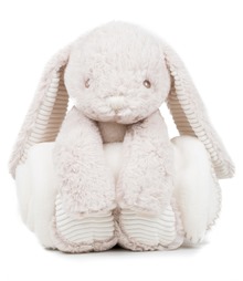 Rabbit and blanket