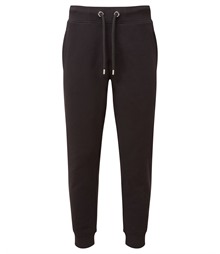 Anthem jog pants